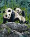 Картина за номерами Дев'ять панд худ Стівен Гарднер (BRM41909) — фото комплектації набору