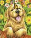 Картина по номерам Радостный щенок (BS51702) (Без коробки)