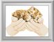 Алмазная мозаика Котенок в руках Dream Art (DA-30004, Без подрамника) — фото комплектации набора