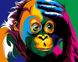 Картина за номерами Райдужна мавпа (VP599) Babylon — фото комплектації набору