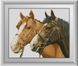 Набір алмазна мозаїка Пара коней Dream Art (DA-30887) — фото комплектації набору