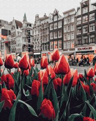 Картина по номерам Тюльпаны Амстердама (BK-GX34169) (Без коробки)