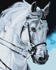 Картина по номерам Гордый конь (KHO4387) Идейка (Без коробки)