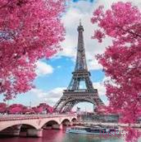 Картина из мозаики Париж в розовых красках (ME24914) Диамантовые ручки (GU_178206, На подрамнике) фото интернет-магазина Raskraski.com.ua
