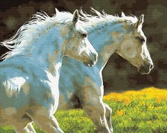 Картина по номерам Пара белых лошадей (BRM30151) фото интернет-магазина Raskraski.com.ua