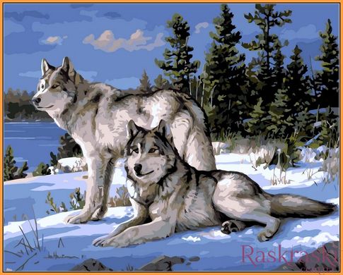 Картина раскраска Волки на снегу (в раме) (NB236R) Babylon фото интернет-магазина Raskraski.com.ua