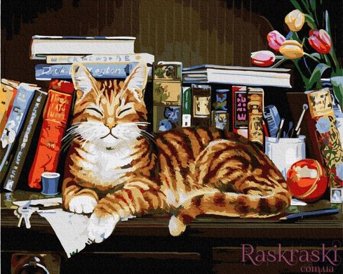 Картина за номерами Кіт на книжковій полиці (BRM4142) фото інтернет-магазину Raskraski.com.ua
