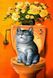 Картина из страз Послушный котик My Art (MRT-TN423, На подрамнике) — фото комплектации набора