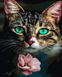 Картина раскраска Кошка и цветок (BRM45022) — фото комплектации набора