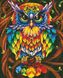 Алмазна мозаїка Графічна сова Никитошка (GJ4515) — фото комплектації набору
