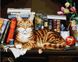 Картина за номерами Кіт на книжковій полиці (BRM4142) — фото комплектації набору
