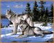 Картина раскраска Волки на снегу (в раме) (NB236R) Babylon — фото комплектации набора
