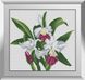 Набор алмазная мозаика Орхидея каттлея Dream Art (DA-31188, Без подрамника) — фото комплектации набора