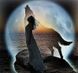 Картина из страз Девушка и волк при луне My Art (MRT-TN445, На подрамнике) — фото комплектации набора