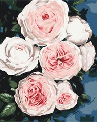 Картина за номерами Бутони пишних троянд (BS40586) (Без коробки)