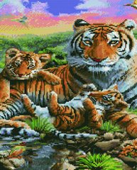 Картина мозаїка Сім'я тигрів НікіТошка (GJ6193) фото інтернет-магазину Raskraski.com.ua