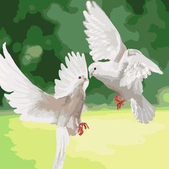 Картина по номерам Белые голуби (KH4149) Идейка фото интернет-магазина Raskraski.com.ua