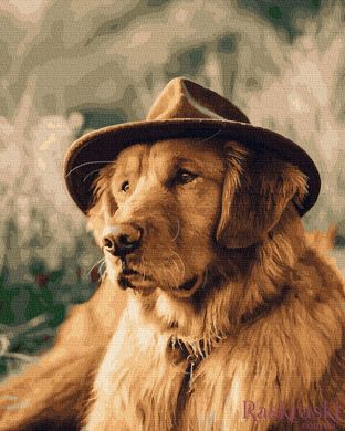 Картина по номерам Собака в шляпе (BRM30821) фото интернет-магазина Raskraski.com.ua