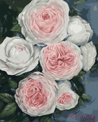 Картина по номерам Бутоны пышных роз (BK-GX40586) (Без коробки)