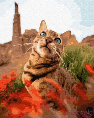 Полотно для малювання Кіт в траві (BK-GX39210) (Без коробки)