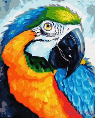 Картины по номерам Красочный попугай (BK-GX33153) (Без коробки)