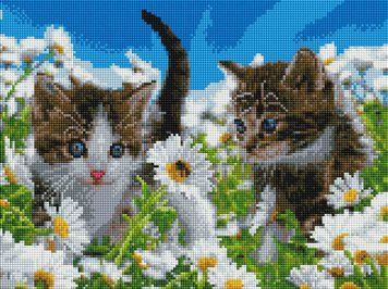 Мозаїка алмазна Котики в ромашках ColorArt (CLR-ST473) 30 х 40 см фото інтернет-магазину Raskraski.com.ua