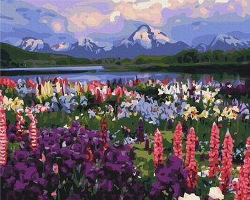 Картина раскраска Долина полевых цветов (BS21019) (Без коробки)
