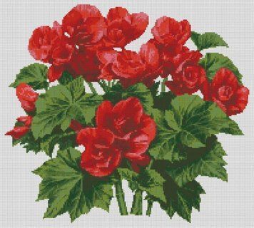 Набір алмазної вишивки Бегонія (45 х 50 см) Dream Art (DA-31566) 45 х 50 см фото інтернет-магазину Raskraski.com.ua