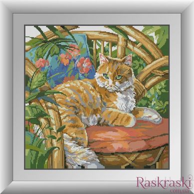 Алмазная живопись Рыжий кот Dream Art (DA-30839, Без подрамника) фото интернет-магазина Raskraski.com.ua