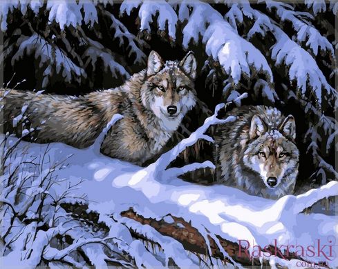 Картина за номерами Вовки в лісі (VP121) Babylon фото інтернет-магазину Raskraski.com.ua