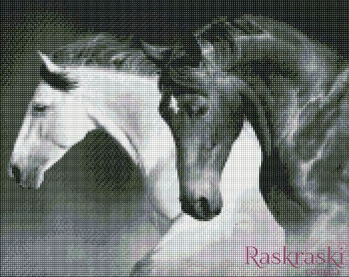 Картина алмазная вышивка Черно-белая сила Идейка (AMO7421, На подрамнике) фото интернет-магазина Raskraski.com.ua