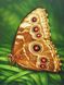 Алмазна техніка Метелик монарх ТМ Алмазная мозаика (DM-176) — фото комплектації набору