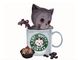Картина за номерами Сірий котик в кавовій чашці (BRM8398) — фото комплектації набору