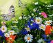 Картина раскраска Цветочное поле и бабочки (VP1254) Babylon — фото комплектации набора
