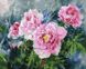 Картина раскраска Нежные цветы (BRM31594) — фото комплектации набора