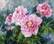 Картина Розмальовка Ніжні квіти (BRM31594) — фото комплектації набору