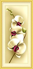 Набір алмазна мозаїка Ніжність орхідеї 1 (повна зашивання, круглі камені) Dream Art (DA-20003) фото інтернет-магазину Raskraski.com.ua
