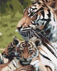 Раскраски по номерам Семья тигров (BS52792) (Без коробки)