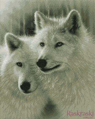 Алмазная вышивка Белые волки ArtStory (ASM57, На подрамнике) фото интернет-магазина Raskraski.com.ua