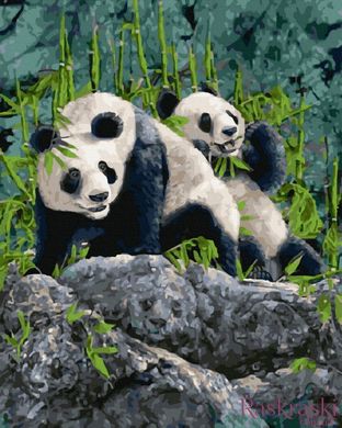 Раскраска для взрослых Девять панд худ Стивен Гарднер (BK-GX41909) (Без коробки)