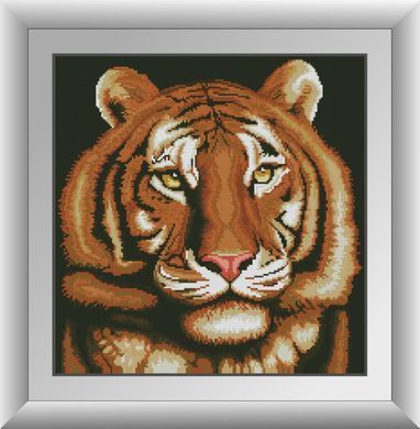 Алмазная картина Портрет тигра (полная зашивка, квадратные камни) Dream Art (DA-30257, Без подрамника) 43 х 44 см фото интернет-магазина Raskraski.com.ua