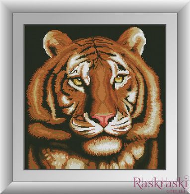 Алмазна вишивка Портрет тигра (повна зашивання, квадратні камені) Dream Art (DA-30257) фото інтернет-магазину Raskraski.com.ua