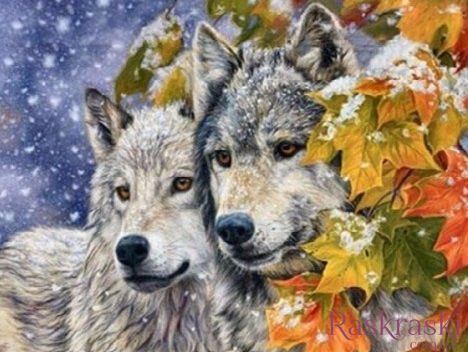 Набор алмазная мозаика Волк и волчица My Art (MRT-TN700, На подрамнике) фото интернет-магазина Raskraski.com.ua