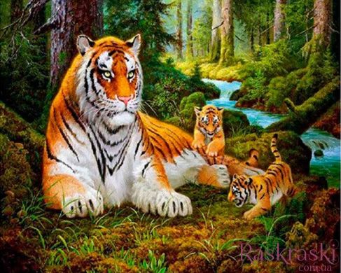 Алмазна мозаїка Тигр в лісі Никитошка (GJ4099) фото інтернет-магазину Raskraski.com.ua