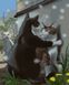 Картина за номерами Котяче життя (BRM42995) — фото комплектації набору