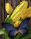 Раскраска по номерам Бабочка на тюльпанах (BK-GX33215) (Без коробки)
