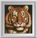 Алмазна вишивка Портрет тигра (повна зашивання, квадратні камені) Dream Art (DA-30257) — фото комплектації набору