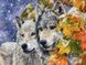 Набор алмазная мозаика Волк и волчица My Art (MRT-TN700, На подрамнике) — фото комплектации набора