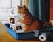 Картина по номерам Кошачьи новости (BRM41288) НикиТошка — фото комплектации набора