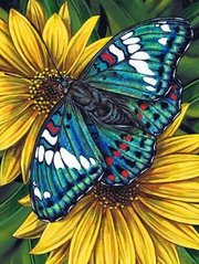 Картина алмазна вишивка Метелик на гербері ТМ Алмазная мозаика (DM-178) фото інтернет-магазину Raskraski.com.ua